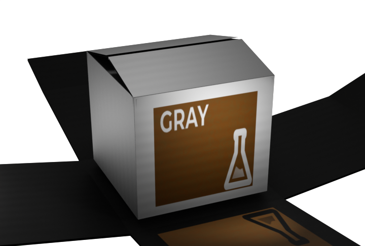 Grey box pentest